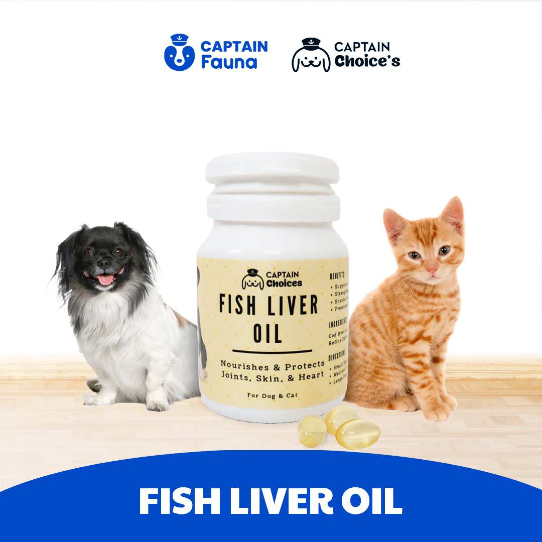 Fish Liver Oil Untuk Kucing Anjing
